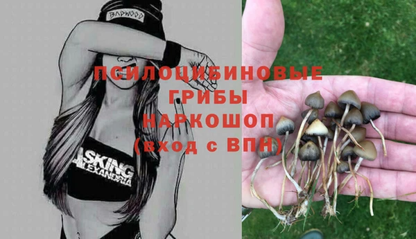 мдпв Белоозёрский