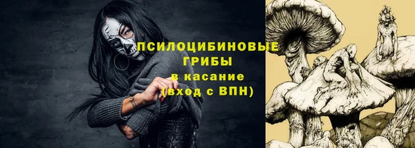 ECSTASY Богородск